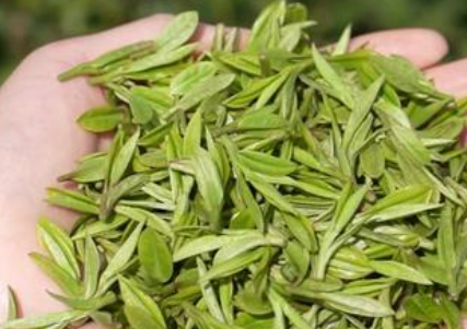 春茶产销正当时，西湖消防全