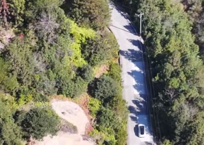 国网三明“廊下共赢”：油茶护线护生态 赋能乡村振兴(图1)