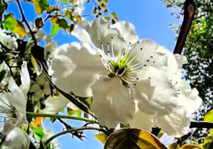 新潮体验聚人气 银川近郊解锁春日文旅新玩法(图1)