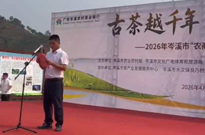赋能茶产业 岑溪开茶节搭建